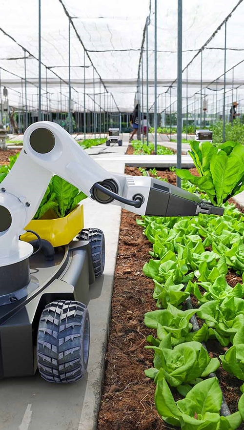 Image of a machine with plants in large greenhouse