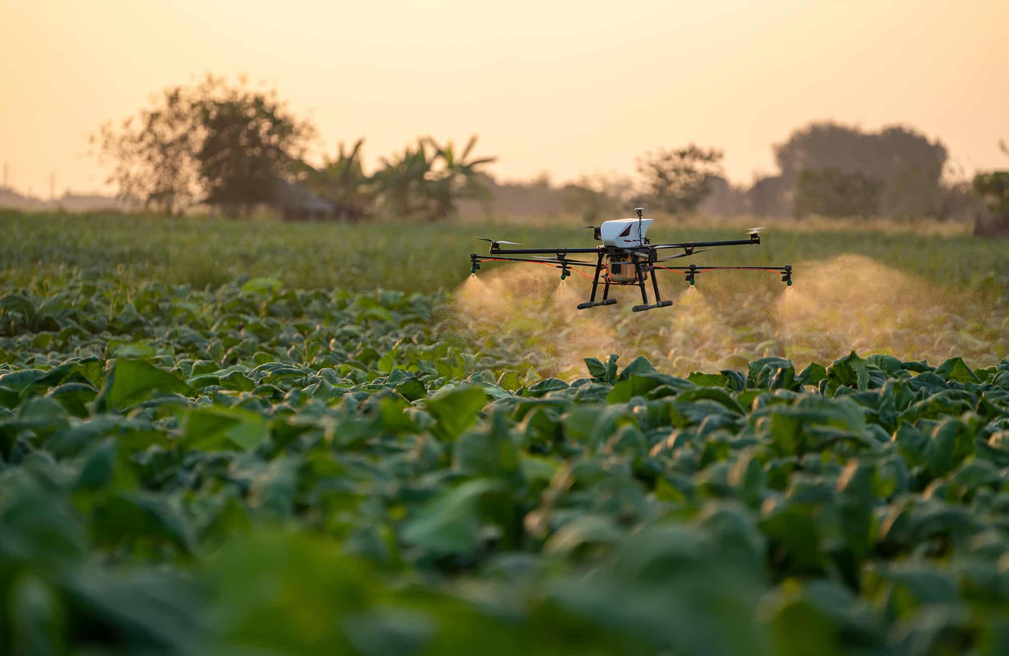 Drone spraying chemicals
