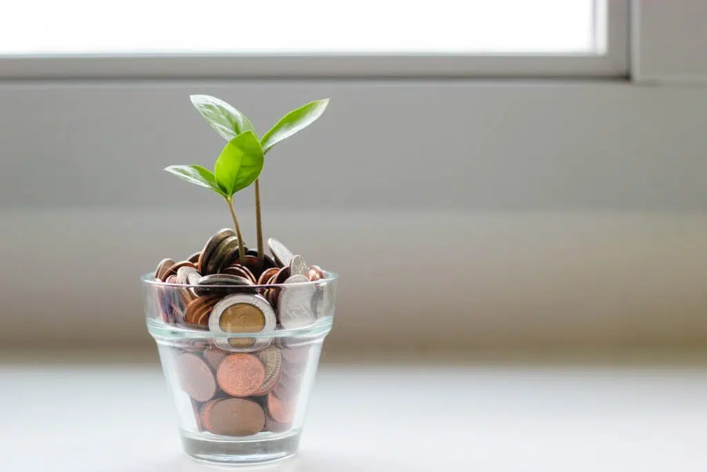 Image of a green shoot in a pot of coins