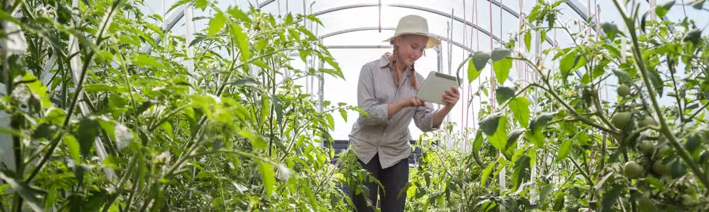 Woman working in agritech