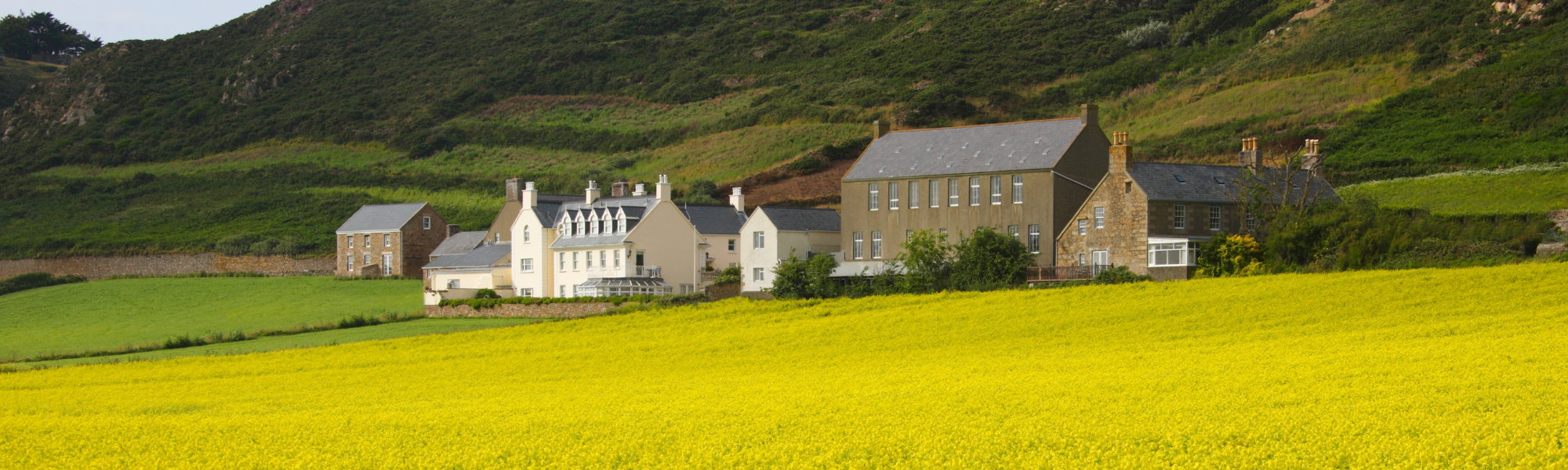 Jersey countryside and rape field with the small town La Villaise in the distance, Jersey, Channel Islands, UK