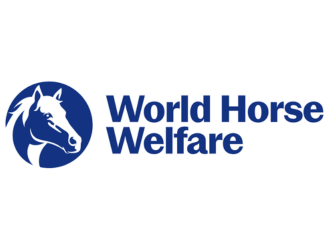 Wild Horse Welfare Trust UK