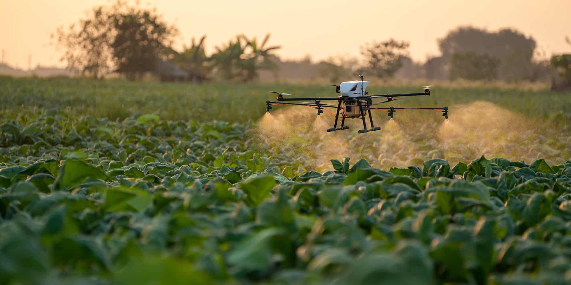 Drone spraying chemicals